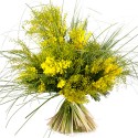 BOUQUET MIMOSA