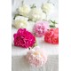 BRASSEE DE PIVOINES