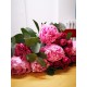BRASSEE DE PIVOINES