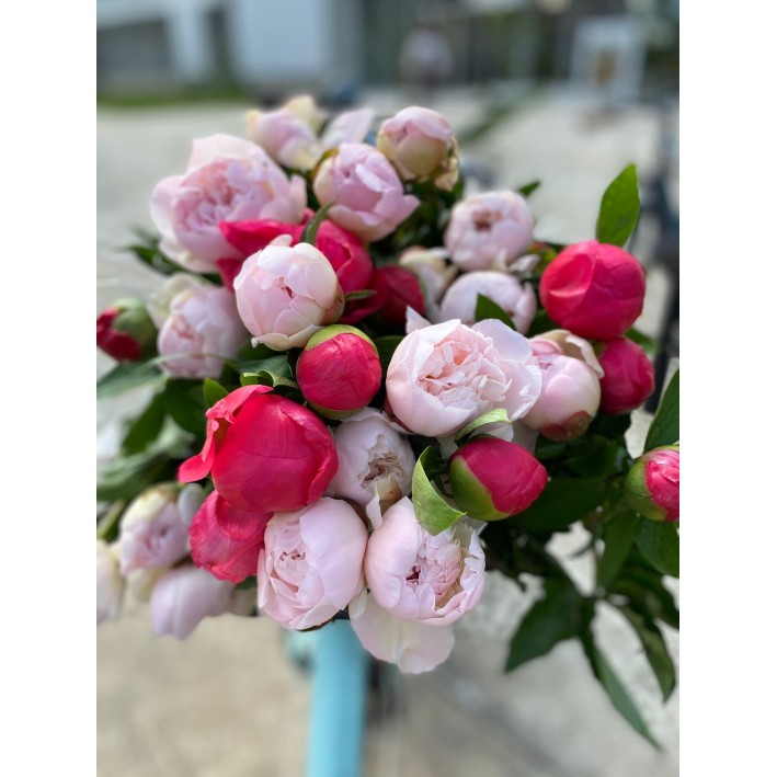 BRASSEE DE PIVOINES