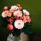 BOUQUET MAMAN LOVE