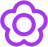 fleur-violettes.png
