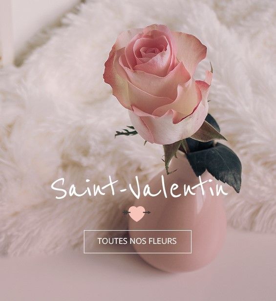 ST VALENTIN HIBISCUS FLEURS NANTES