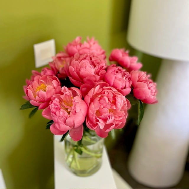 BRASSEE DE PIVOINES 