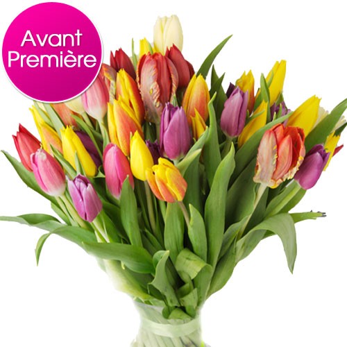 BOUQUET DE TULIPES 