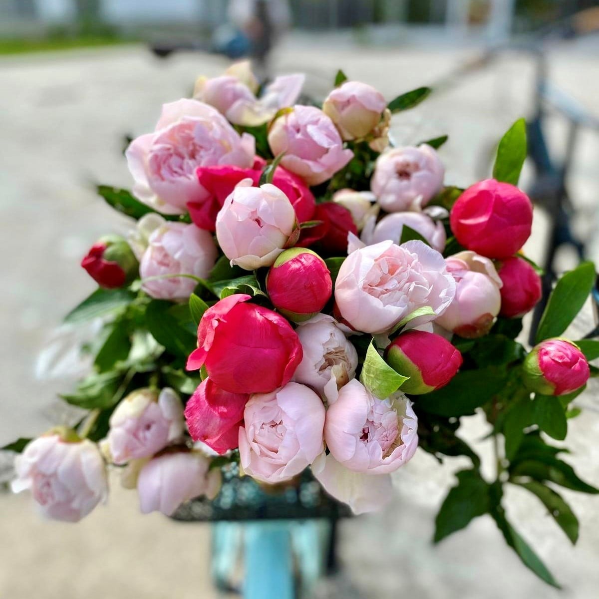 BRASSEE DE PIVOINES 